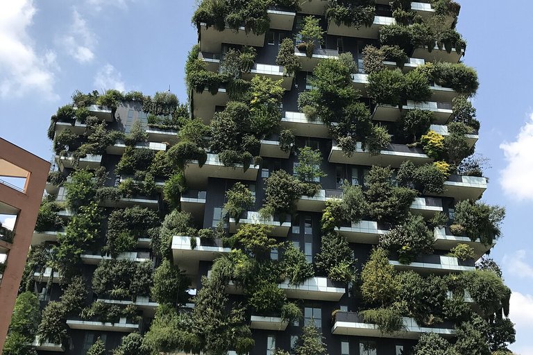 Bosco Verticale compie dieci anni: bilancio di un’icona verde